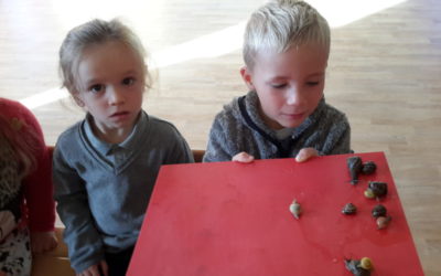 Animation  » ESCARGOTS »