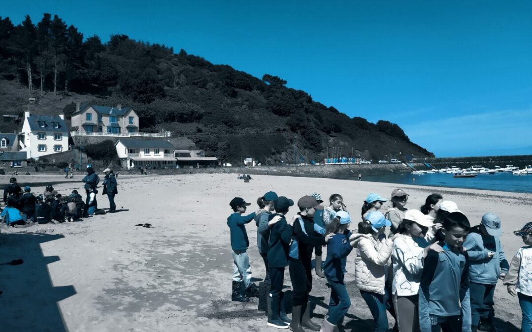 classe de mer à Plouha Jeudi 15 mai